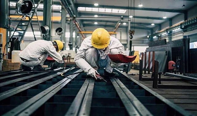 Melikgazi Akrep İlaçlama